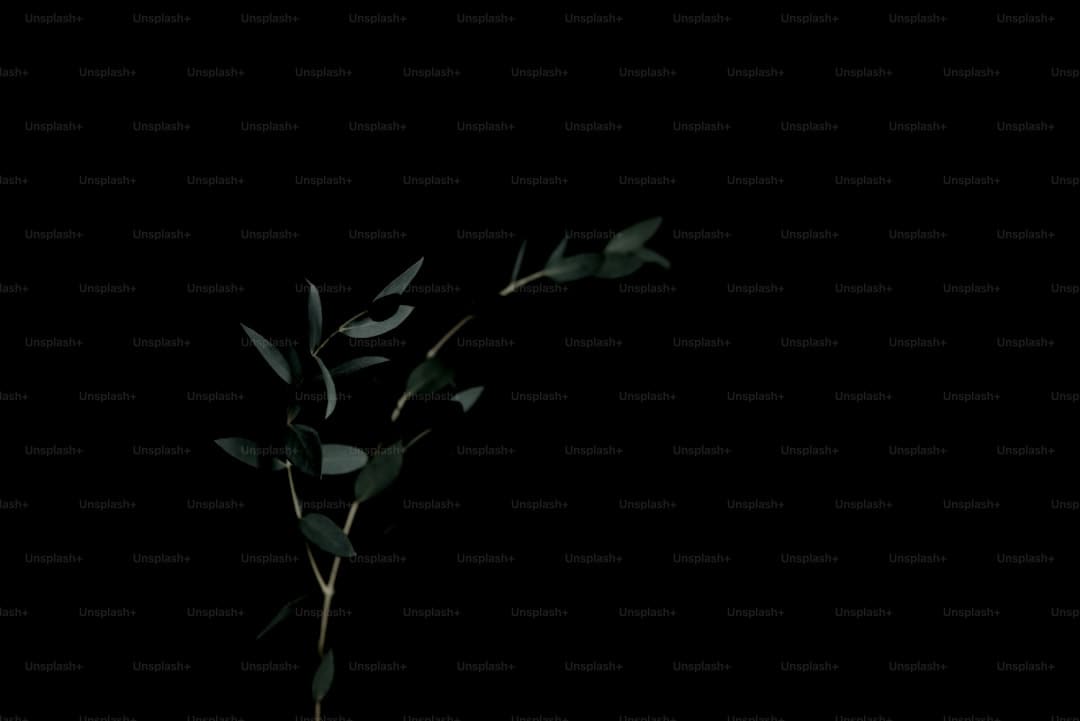 http://n.sinaimg.cn/news/transform/w600h400/20180313/Ql4--fysfmyc4083114.jpg?zdy